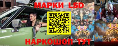 гашик Гусь-Хрустальный