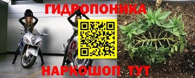 гашик Гусь-Хрустальный