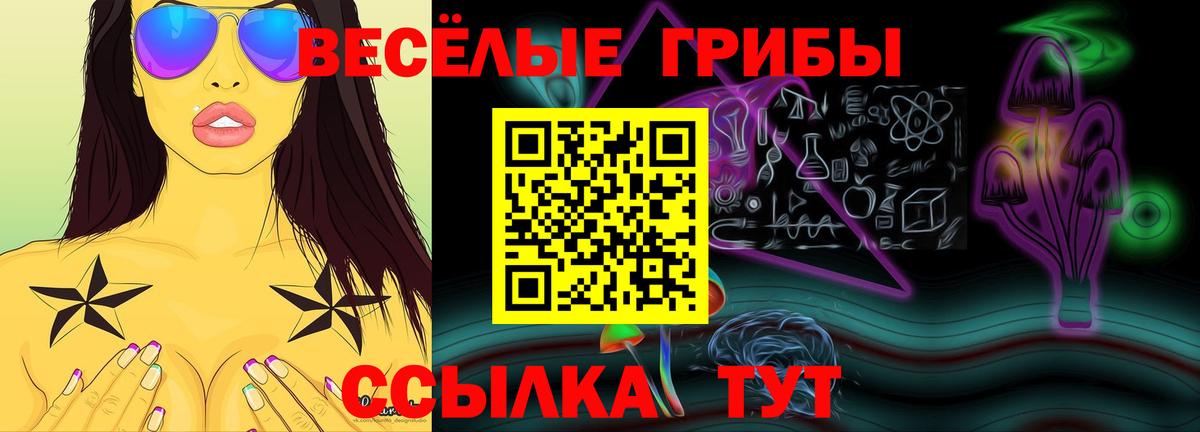 Псилоцибиновые грибы Psilocybe  Вход с VPN  Миасс  Псилоцибиновые грибы Psilocybe 